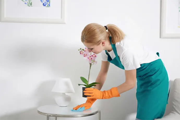 La Conciergerie B&B en Charente Maritime pour la gestion de votre location courte durée sur l'ile d'Oléron et autour de Royan