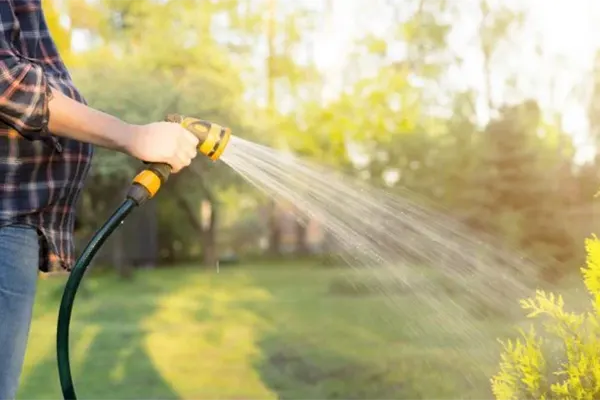 La Conciergerie B&B en Charente Maritime pour la gestion de votre location courte durée sur l'ile d'Oléron et autour de Royan